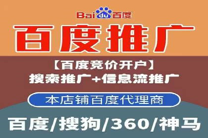SEM精准广告投放的五大成功案例
